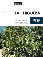 Guía de cultivo de la higuera