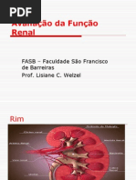 Avaliacao Da Funcao Renal