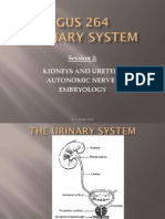 Session 2: Kidneys and Ureters Autonomic Nerves Embryology: DR C Vorster 2010