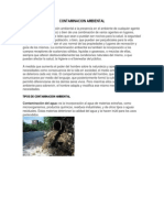 CONTAMINACION AMBIENTAL.docx