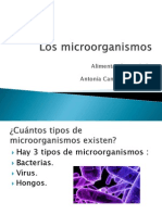 Los Microorganismos