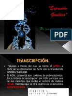 Transcripción Genetica Black