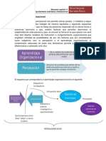 Resumen Cap 4 C. O