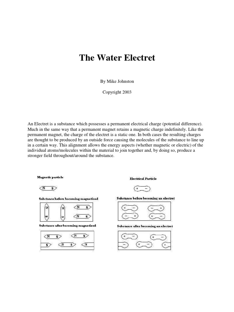 The Water Electret | PDF | Properties Of Water | Electric Charge