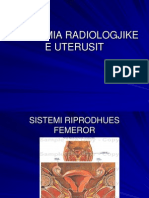 Anatomia Radiologjike e Uterusit