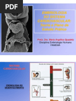 Cardiovascular 2 Serie 2012