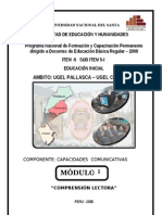 El Texto y Niveles MODULO-1comunicacion