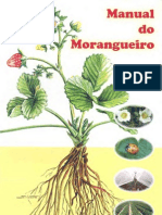 Manual Do Morangueiro1