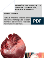 anatomiacardiacav2-1-120303062807-phpapp01