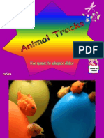 Animal Tracks 08-13-08