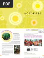 2. NORDESTE Artigo Artesãs Queimadinha