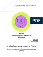 Memoria Módulo 3 Formas Organizativas 2009.pdf