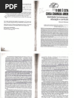 O Que e Essa Coisa Chamada Amor Deborah Britzman