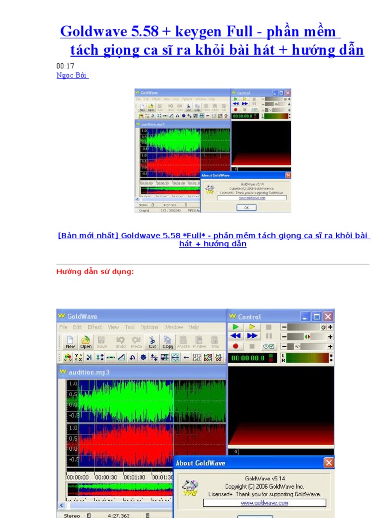 Goldwave 5 | PDF