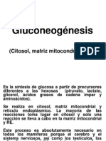 6.0 Gluconeogenesis