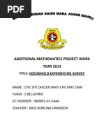 Download Additional Mathematics Project Work by Ila Isma SN160422490 doc pdf