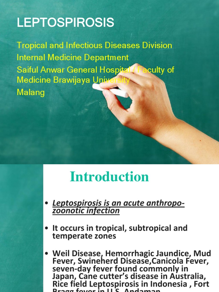 Leptospirosis_Smt7.ppt Clinical Pathology Infection