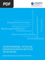 Studie Transparenzmaengel Betrug Und Korruption Im Bereich Der Pflege Und Betreuung