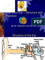 The Inner Ear - Structure and Function