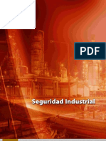 CC 001-Seguridad Industrial