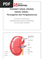 Download Gagal Ginjal Kronik by Moving Slippers SN160470992 doc pdf