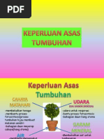 B-Keperluan Asas Tumbuhan Tahun 4