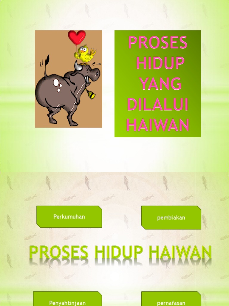 D Proses Hidup Haiwan Sains Tahun 4 Pdf