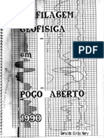 Pefilagem Geofisica em Poço Aberto (1990) - Geraldo Girão Nery