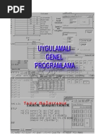 Uygulamalı Genel Programlama