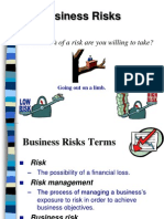 businessrisks-101011205120-phpapp02