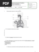 Ficha de avaliação de Ciências Naturais do 9º Ano - sistemas respiratório e digestivo