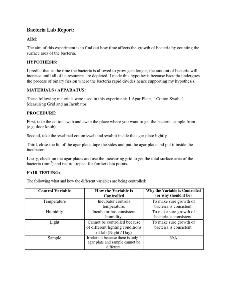 Bacteria Lab Report | Cell Growth | Bacteria