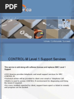 Control M Administration and Monitoring Services