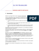 Psicologia no trabalho: comportamento humano