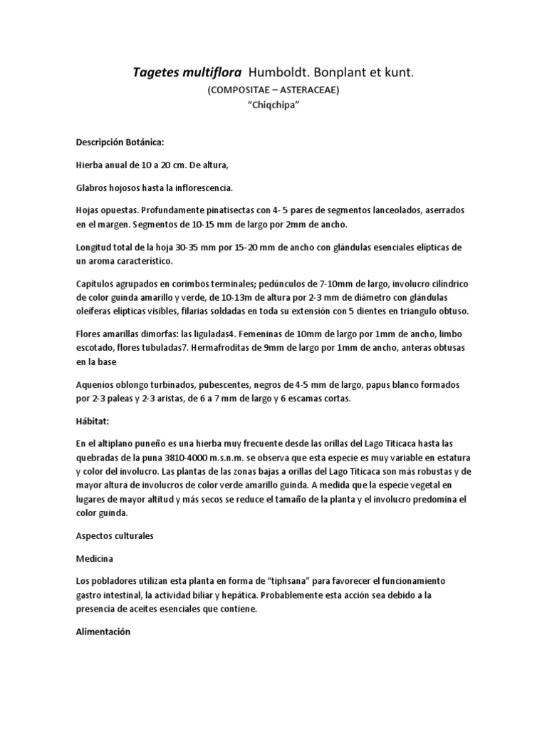 Propiedades y usos de Tagetes multiflora | PDF