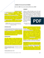 Anemia de células falciformes: fisiopatología, clínica y prevención