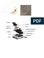 Partes de Un Microscopio Óptico