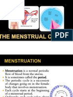 Menstrual Cyle and Pregnancy