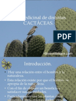 Uso medicinal de las cactáceas