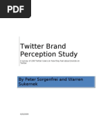 Twitter Brand Perception Survey 5 09