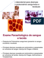 Diagnóstico+laboratorial+de+protozoários+sanguíneos+e+teciduais