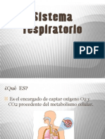 Sistema Respiratorio