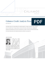 Calamos Credit Analysis Process: Research