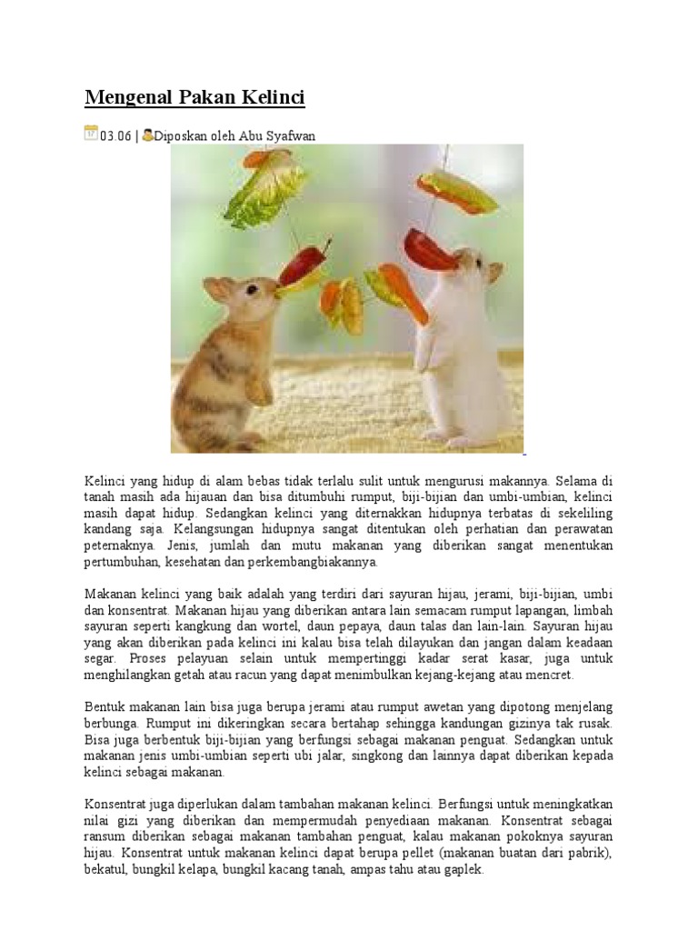 Mengenal Pakan Kelinci