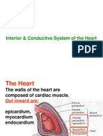 Interior of The Heart (129)