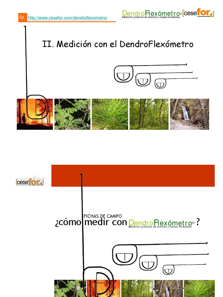 Utilizacion de Dendroflexometro | PDF | Los bosques | Medición