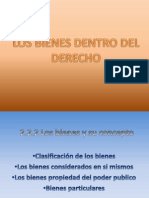 Bienes Dentro Del Derecho