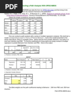 Path Spss Amos