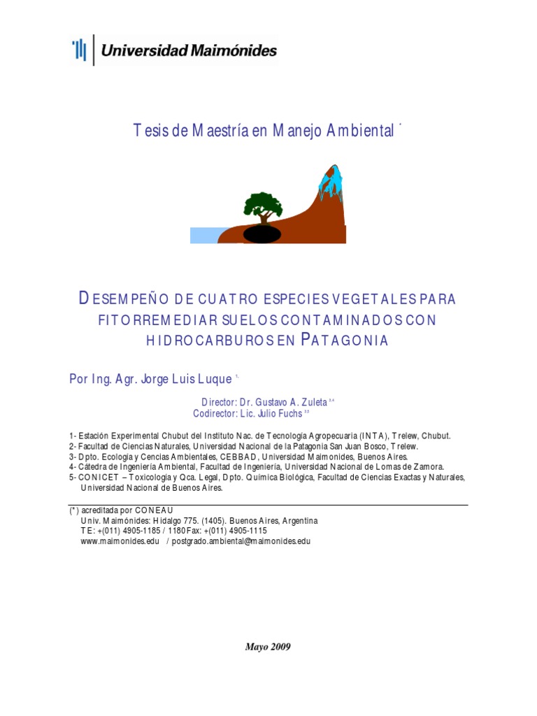 Fitorremediación Suelos Contaminados Pdf Contaminación Plantas