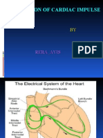 Conduction of Cardiac Impulse